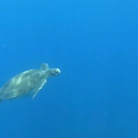 Panzió Terrazas Del Sur 2*