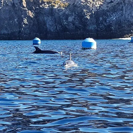 Terrazas Del Sur Bed & Breakfast