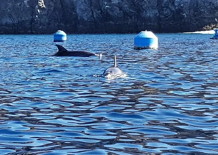 Terrazas Del Sur לינה וארוחת בוקר